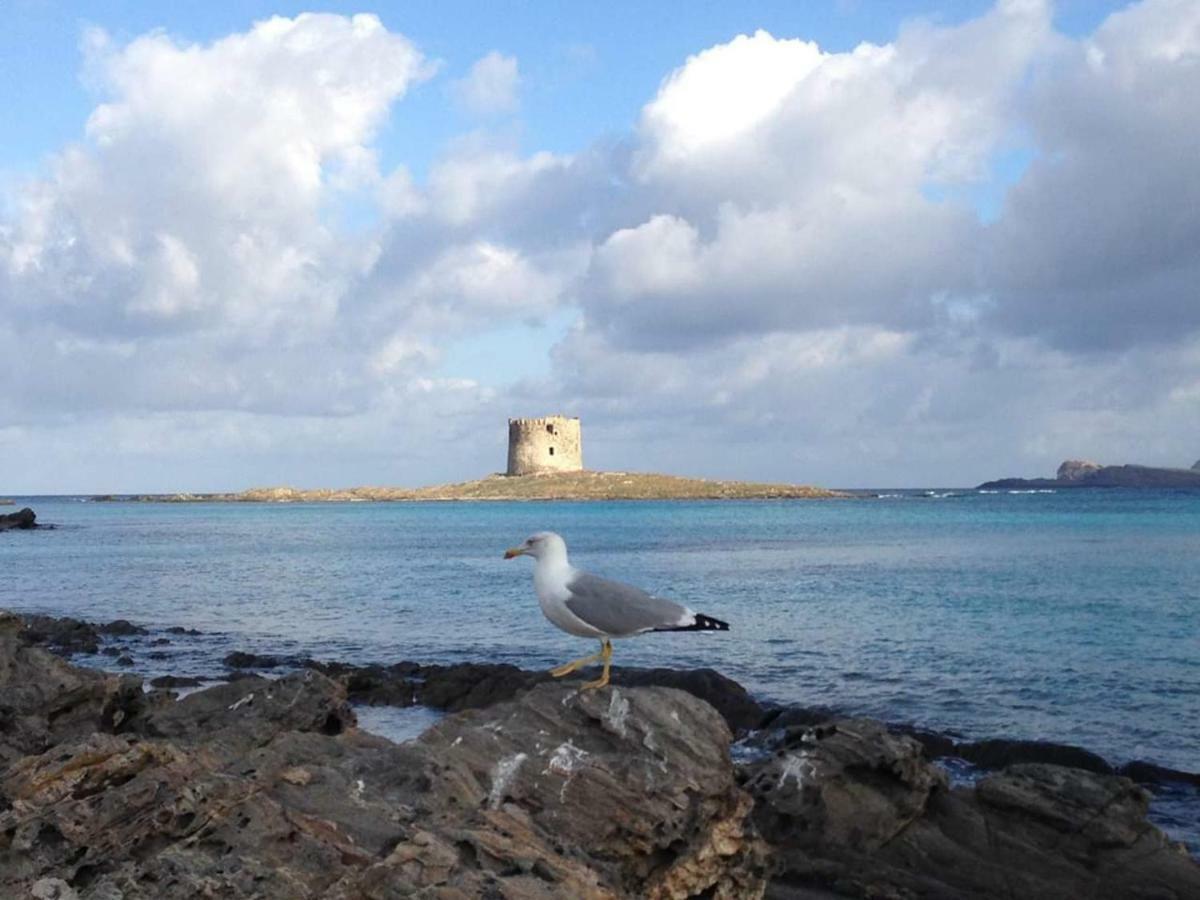 Villa Maria Antonietta House Porto Torres Esterno foto